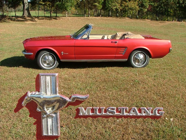 Dad style 56 Mustang Picture