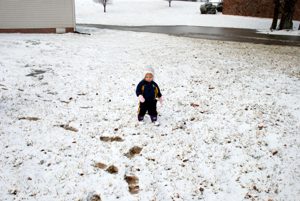 Ice Storm 019